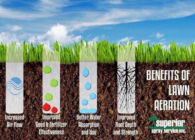 Overseeding 2024 without aerating